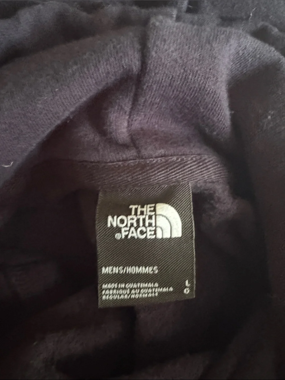 The North Face Blue Hoodie with Red Chest Logo